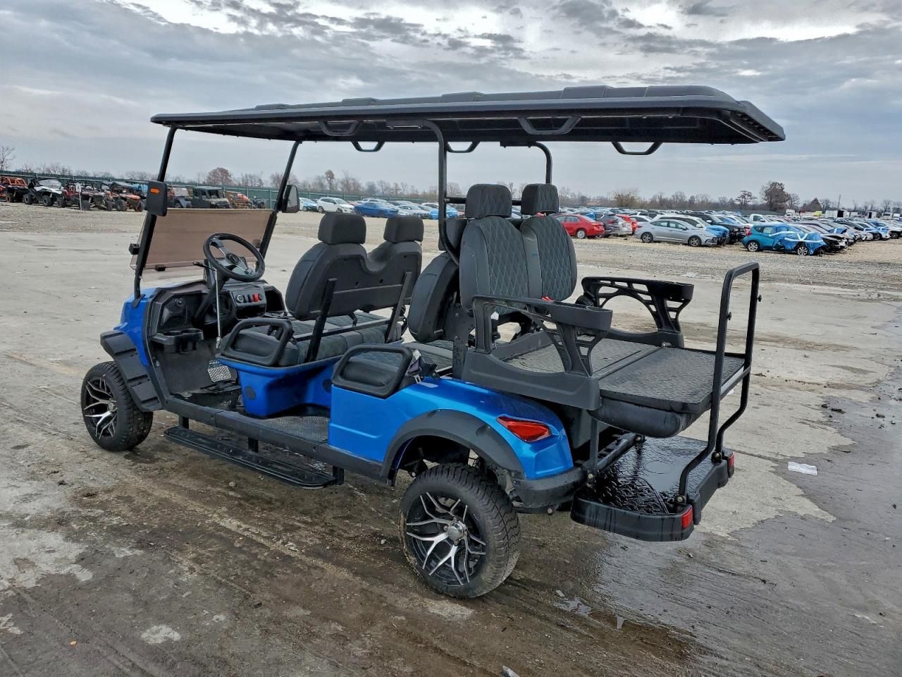 Incredible 2024 Golf Cart - Image 3