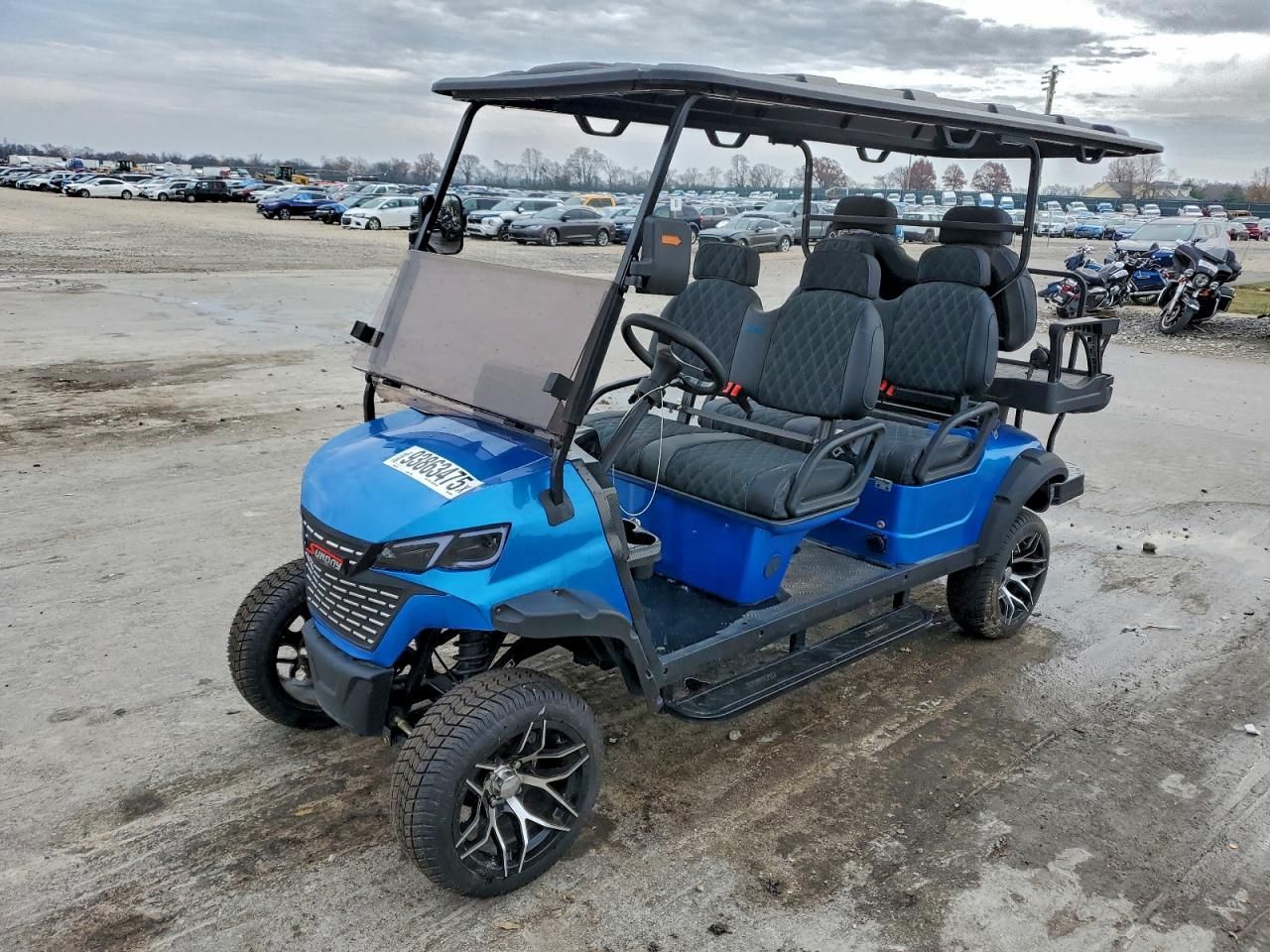 Incredible 2024 Golf Cart - Image 2