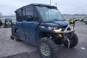 2025 CAN DEFENDER - utility vehicle