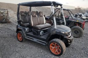 2025 Evolution Golf Cart for Sale