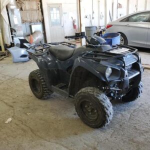 2025 Kawasaki Brute Force 300