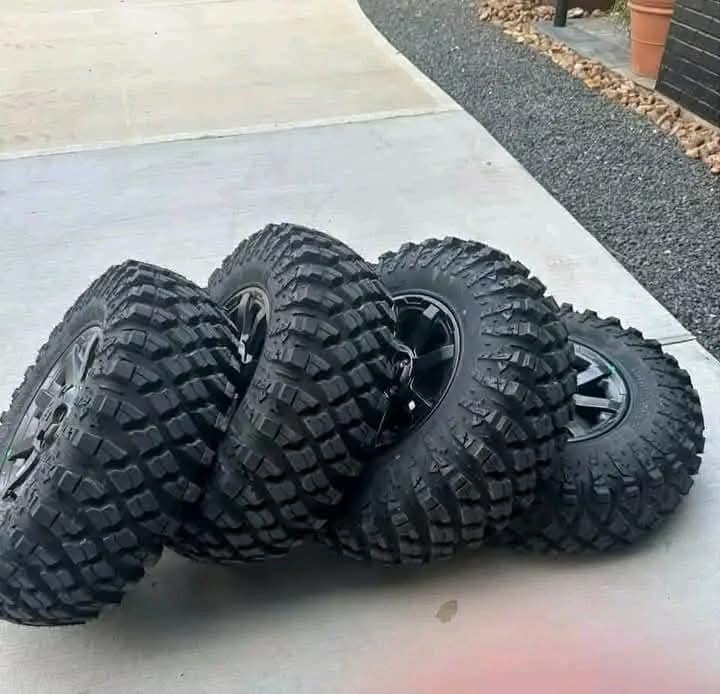 500766569_122109767408879105_590110072953121851_n